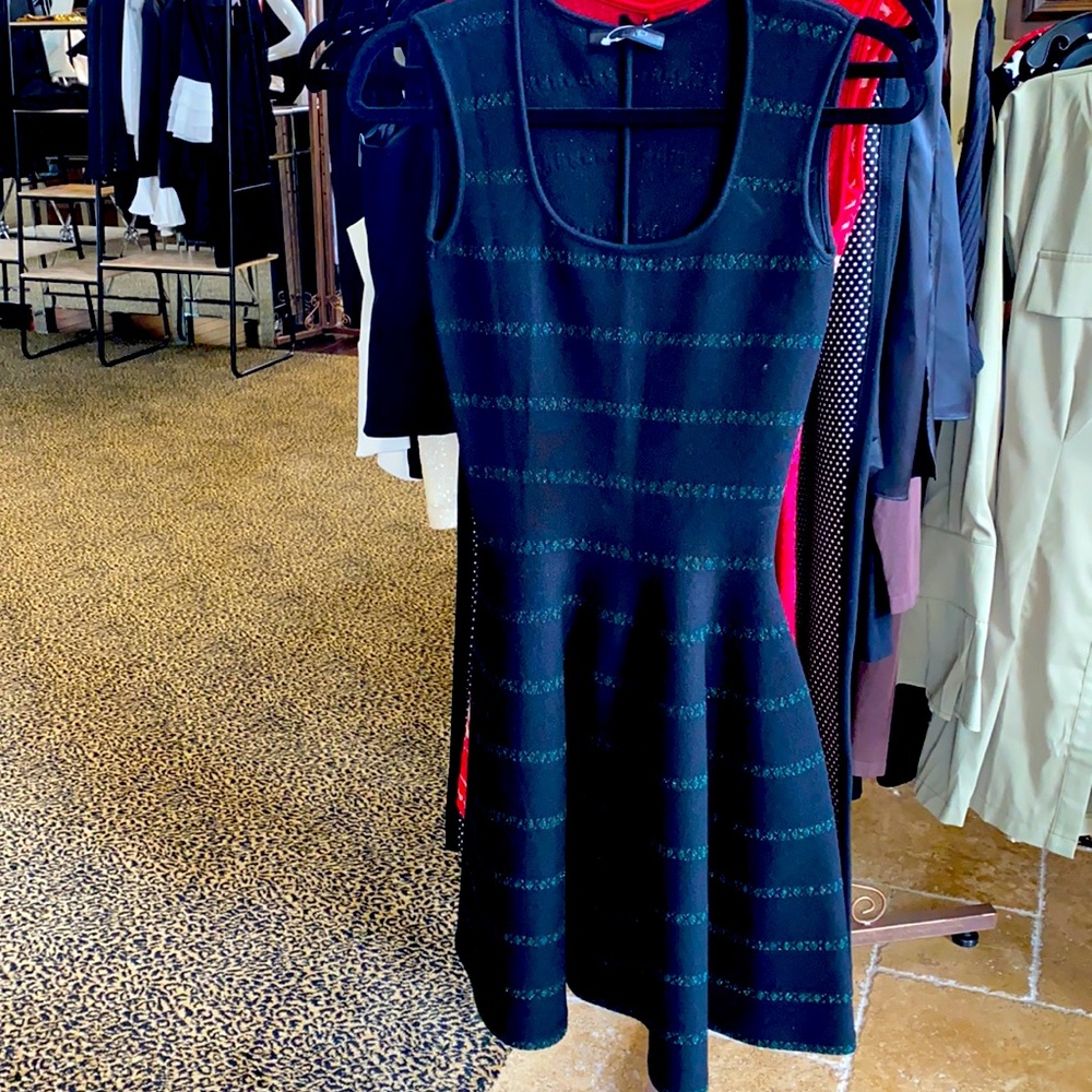 NWT Beautiful classy RVN DRESS